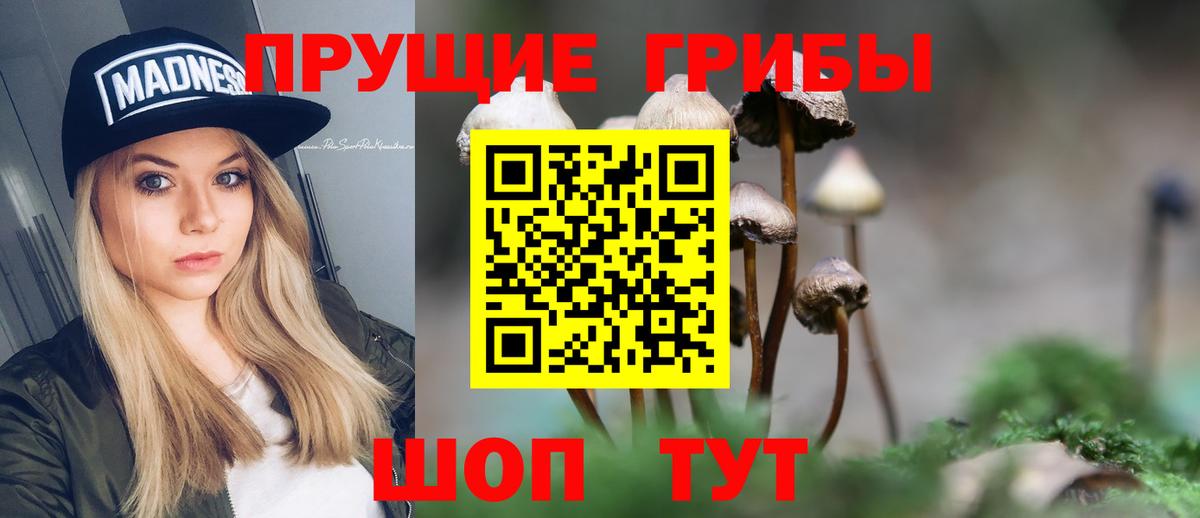 Новочеркасск  Галлюциногенные грибы Psilocybine cubensis  Вход с VPN 