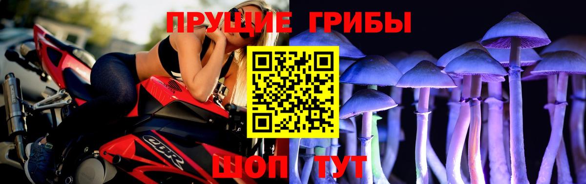 Галлюциногенные грибы Cubensis Новочеркасск